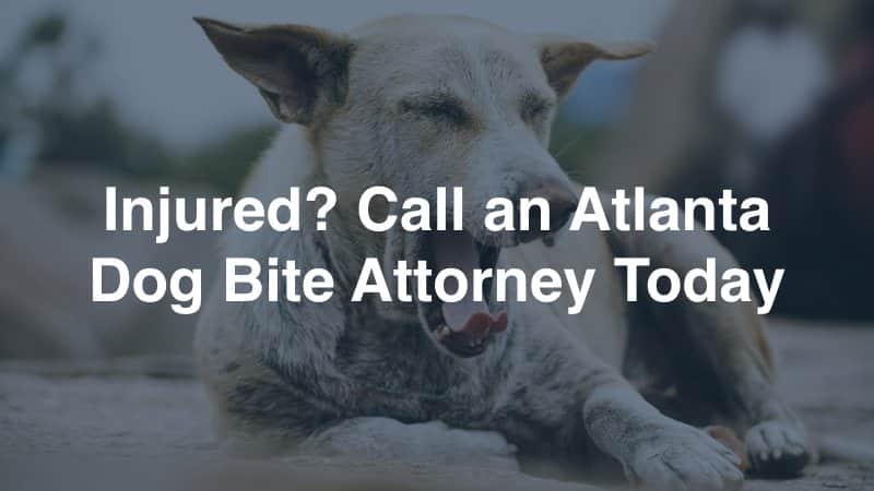 Atlanta Dog Bite Attorney