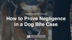 Dog showing teeth with text How To Prove Negligence In A Virginia Dog Bite Case