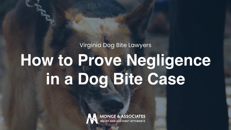 Dog showing teeth with text How To Prove Negligence In A Virginia Dog Bite Case