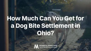 How Much Can You Get for a Dog Bite Settlement in Ohio?